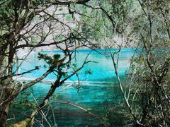 -九寨沟-树正沟