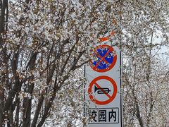 -成都大学-图书馆