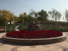 -天津东丽湖风景区