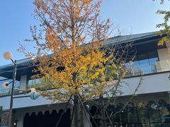 -东湖生态旅游风景区