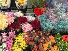 -溪岸路花鸟市场