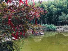 -穹窿山景区
