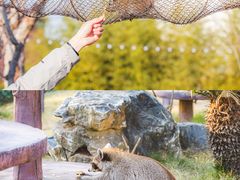 -茅山东方盐湖城景区