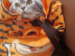 -帕帕拉兹宠物(亚洲旗舰店)