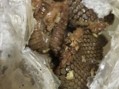 -荔城生鲜盛宴(番禺旗舰店)