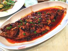 干烧有机大黄鱼-柳泉居饭庄