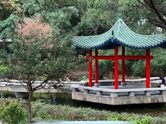-九龙公园