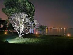 -苏州金鸡湖大酒店