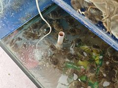 -阳澄湖大闸蟹·琼灵阁牌品牌连锁(吴中总店)