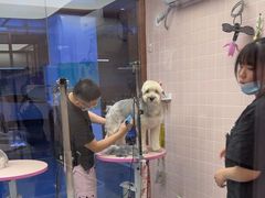 -FAELING PETS美天灵宠物(富力广场店)