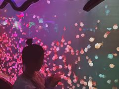 -石家庄极地海洋世界