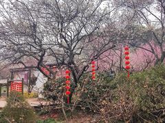 -无锡梅园公园