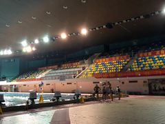 -重庆市奥林匹克体育中心-游泳跳水馆