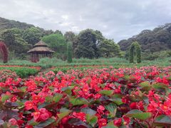 -广州市石门国家森林公园