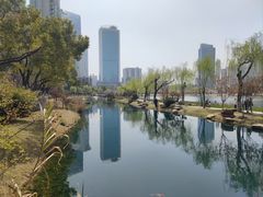 -西北湖绿化广场