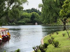 -上海共青森林公园