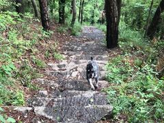 -青龙山国家森林公园