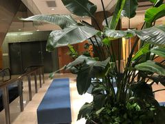 -上海浦东华美达大酒店