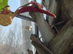 -北京植物园-展览温室