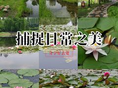 -群力丁香公园