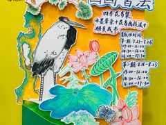 -杨梅红艺术教育(水贝教学中心)