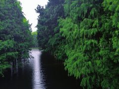 -厦门园林博览苑