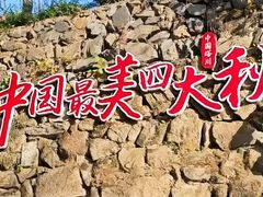 -塔川景区