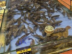 -山东八大碗山东老字号