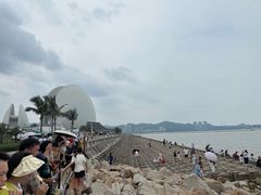 -野狸岛