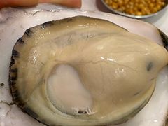 -大湾金牌万州烤鱼(沙河店)