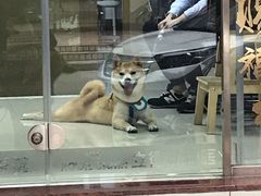-立德动物医院·异宠·CT·鹦鹉(天河店)