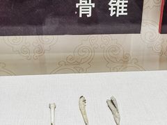 -迪庆藏族自治州博物馆