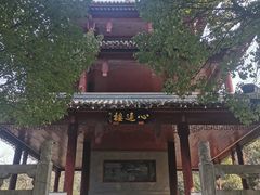 -白马涧龙池景区