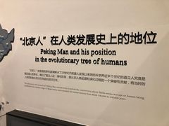 -周口店北京人遗址公园