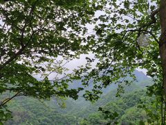 -秦岭终南山世界地质公园翠华山景区