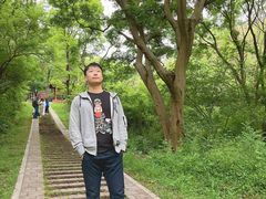 -青龙山国家森林公园