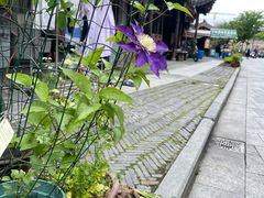 -三林塘老街