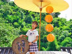 -西双版纳原始森林公园