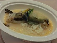 白汁焗黄豚-名豪品鲜荟(云亭店)