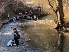 -凤凰山国家森林公园
