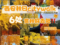 -西北轻工批发市场