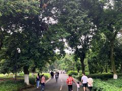 -张坝桂圆林公园