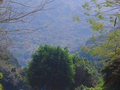 -梧桐山风景名胜区