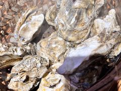 -蚝堡海鲜·威海菜·海肠捞饭·烧烤·亚洲吃蚝公司(幸福门店)