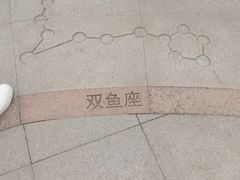 -莫子山公园