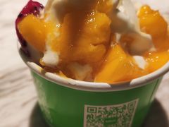 -Salud撒露欧洲冻酸奶(五道口购物中心店)