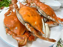 螃蟹-宾朋海鲜饭庄(兴海路店)