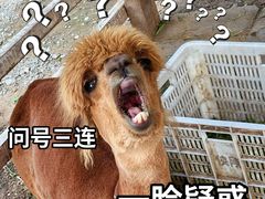 -1982农场