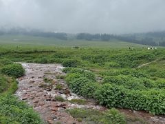-新疆那拉提国家旅游度假区