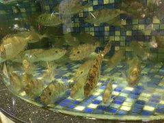 -揭阳钟记小食(福田新村店)